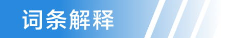 词条解释