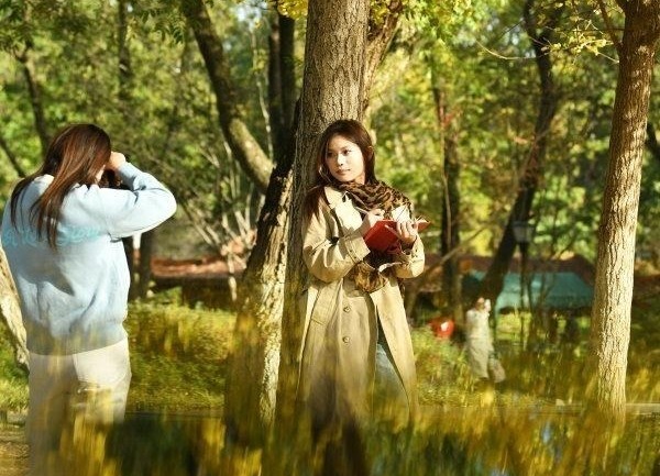 浮光尽染黄金叶，留影方觉入画中