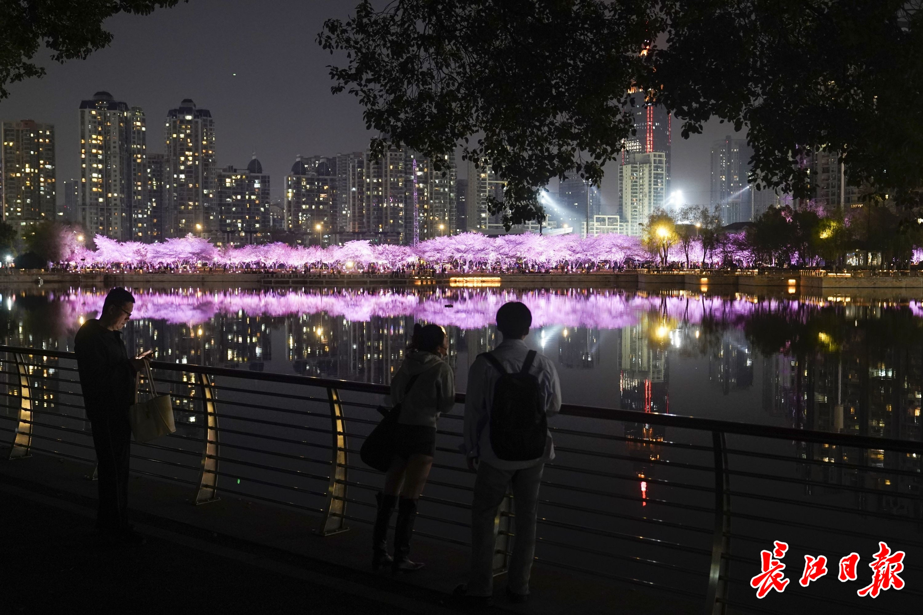 香港最繁华的地方夜晚 W020240327554715618005.jpeg