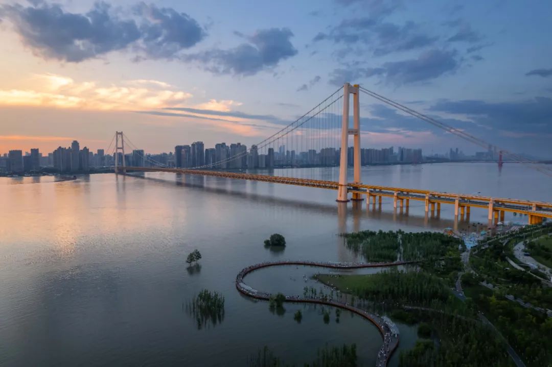 藏不住了!武汉江边奇景,赶紧去拍